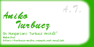 aniko turbucz business card